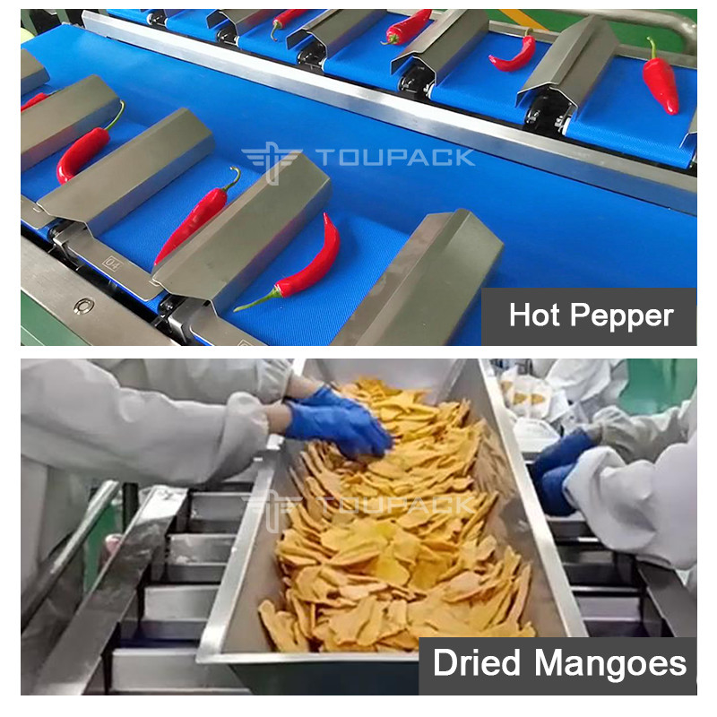 Παγωμένος ξηρός Weigher Multihead φρούτων μάγκο Durian ξηρός συνδυασμού τύπος ζωνών εξοπλισμού χειρωνακτικός