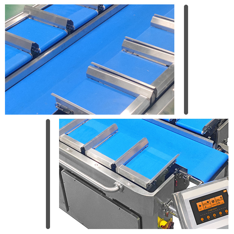 Παγωμένος ξηρός Weigher Multihead φρούτων μάγκο Durian ξηρός συνδυασμού τύπος ζωνών εξοπλισμού χειρωνακτικός