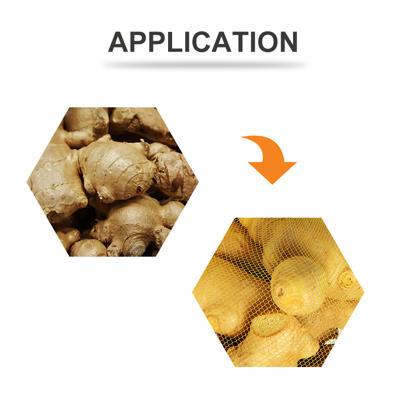 ΜΗΧΑΝΗ ΠΑΡΑΓΩΓΗΣ ΔΙΚΤΥΩΤΩΝ ΣΑΚΩΝ ΣΥΣΚΕΥΑΣΙΑΣ ΚΡΕΜΜΥΩΝ ΣΚΟΡΔΩΝ ΚΑΙ ΠΑΤΑΤΩΝ TOUPACK PP