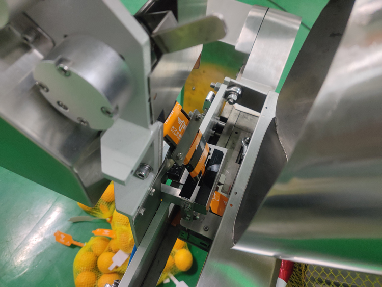 Αυτοματοποιημένη συσκευασία σακούλας με δίχτυ Ζυγίστρα 3g-5000g για συσκευασία λαχανικών Φρούτα Ζαμπερό πατάτες Αμπελώδη φρούτα