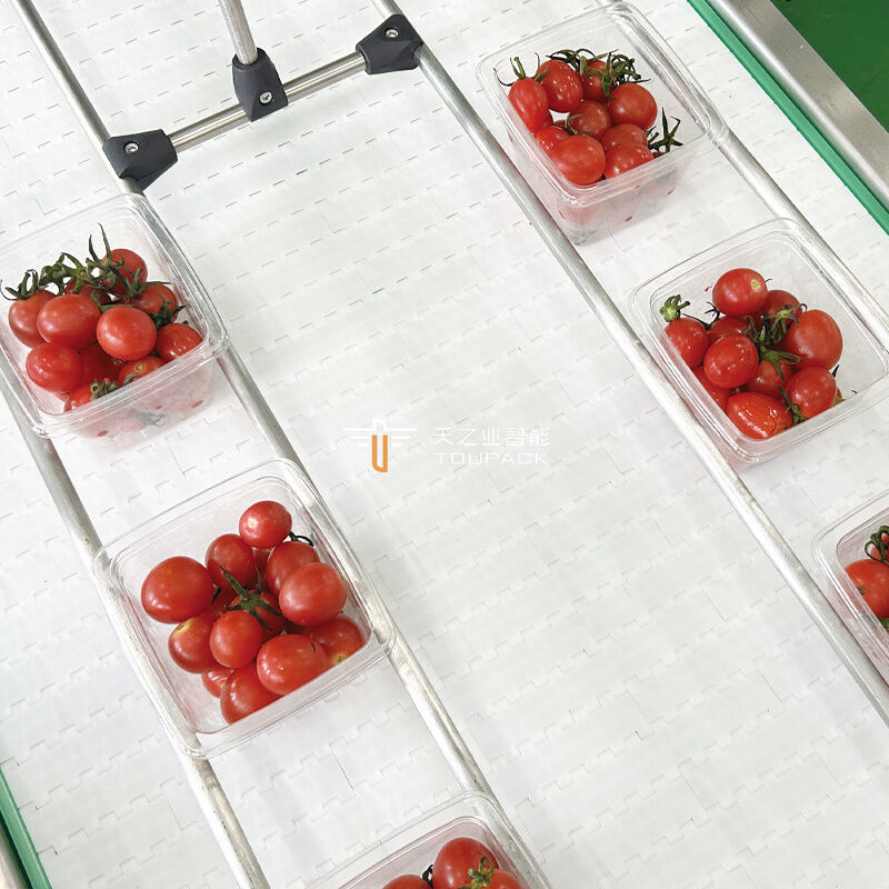 Fruit Clamshell Packaging Line Αυτόματη μηχανή ζύγισης και πλήρωσης φρούτων Σύστημα συσκευασίας φρούτων PET Box