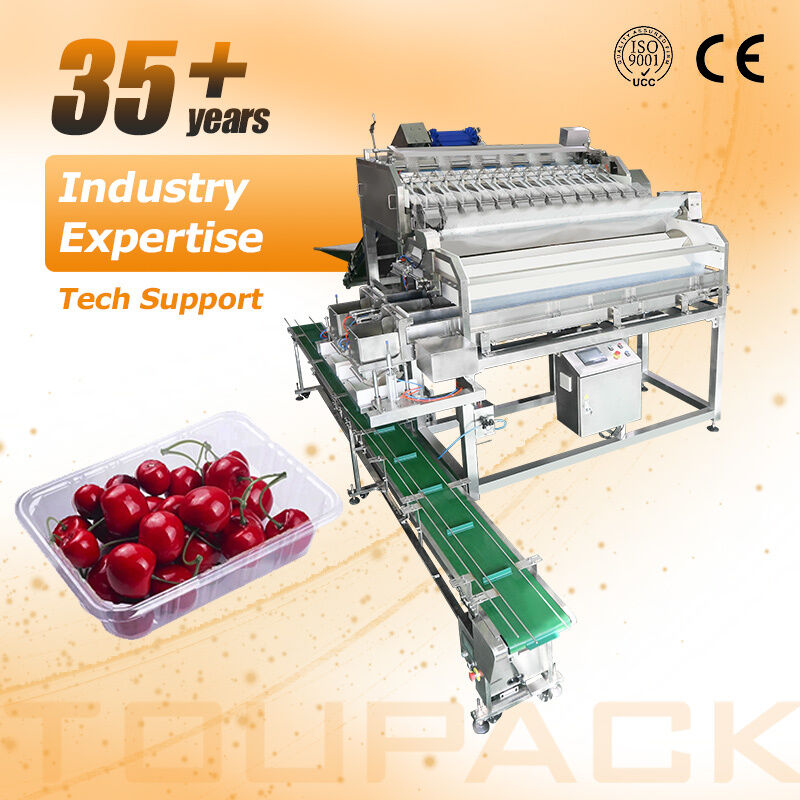 Linear Weigher Automatic Cherry Tomato Fruit Bickaging Line στεγανοποίησης με σύστημα ζύγισης υψηλής ακρίβειας