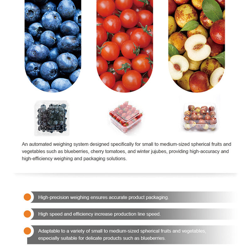 Linear Weigher Automatic Cherry Tomato Fruit Bickaging Line στεγανοποίησης με σύστημα ζύγισης υψηλής ακρίβειας