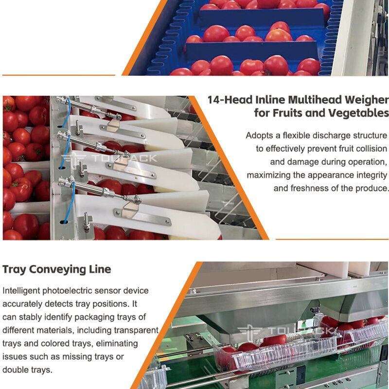 Linear Weigher Automatic Cherry Tomato Fruit Bickaging Line στεγανοποίησης με σύστημα ζύγισης υψηλής ακρίβειας