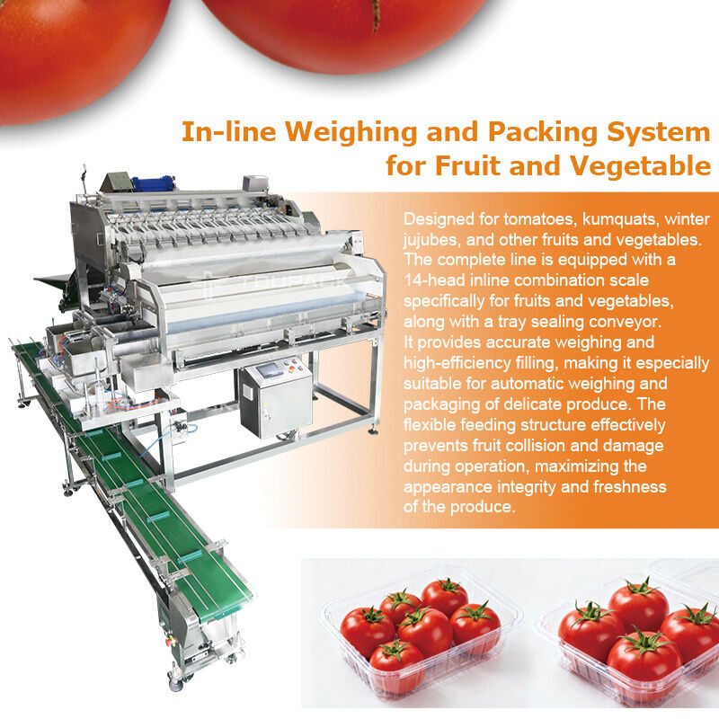 Linear Weigher Automatic Cherry Tomato Fruit Bickaging Line στεγανοποίησης με σύστημα ζύγισης υψηλής ακρίβειας