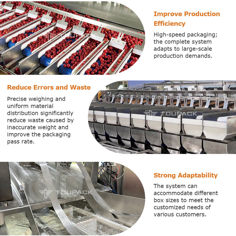 Linear Weigher Automatic Cherry Tomato Fruit Bickaging Line στεγανοποίησης με σύστημα ζύγισης υψηλής ακρίβειας