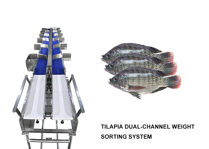 Οριζόντιος Checkweigher βάρους ταξινομώντας μηχανών γκρέιντερ βάρους πολυ ταξινομώντας έλεγχος PLC
