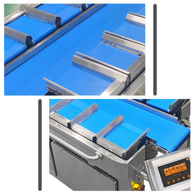 Frozen Dried Durian Dried Mangoes Fruit Multihead Weigher Combination Equipment Manual Belt Type