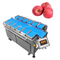 Αχλάδι Apple που ζυγίζει την κλίμακα 12 συνδυασμού φρούτων επικεφαλής ζυγίζοντας μηχανή φόρτωσης χεριών