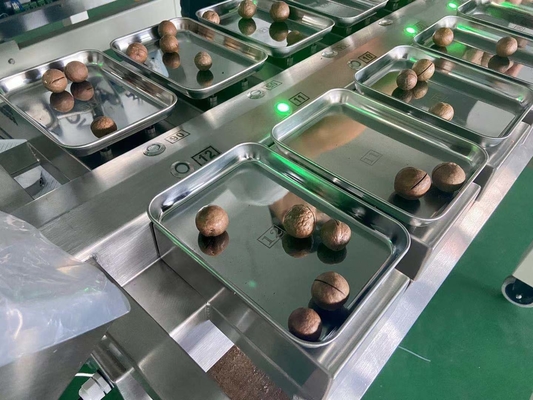 SS304 Weigher 12 Multihead φρούτων υπολογιστών γραφείου επικεφαλής ζυγός