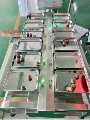 Tabletop Weigher 12 επικεφαλής ανοξείδωτο 304 συνδυασμού τροφίμων ζυγού