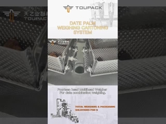 Αυτόματη γραμμή συνελεύσεων παραγωγής γεμίζοντας μηχανών κόκκων γραμμών συσκευασίας πεδίων φοινικών ημερομηνίας προσαρμογής