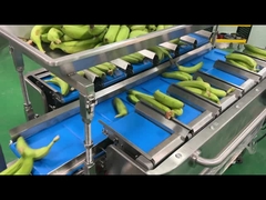 Φαρμακευτική βιομηχανία Ημι αυτόματη πλέξη Ιατρική σακούλα ζύγισης Μετρώντας Δίκτυο Κόψιμο Συσκευάζοντας συσκευασία