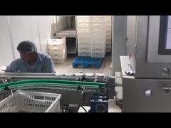 Αυτοματοποιημένη ηλεκτρονική μηχανή ελέγχου ακτίνων Χ για τη βιομηχανία τροφίμων Σύστημα ελέγχου ακτίνων Χ