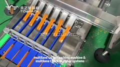 Βιομηχανική μηχανή συσκευασίας σάκετ με πολλαπλές λωρίδες